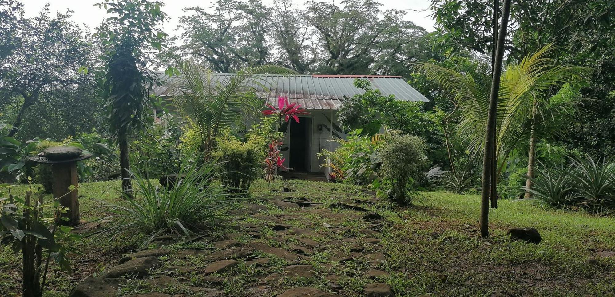Villa Casa De Andrea Santo António Exterior foto